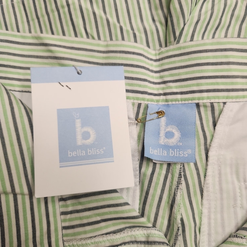 BELLA BLISS Wilson Shorts Vineyard Stripe In Green Blue and White Size 12 - Picture 9 of 11